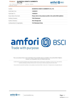 Audit of BSCI