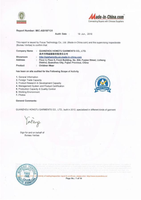 Audit of BV