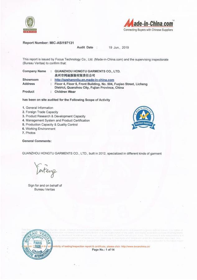 Audit of BV.PNG